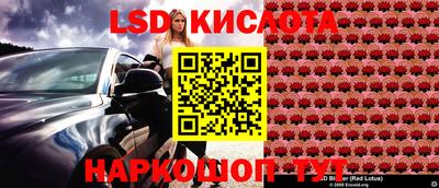 молекула духа Кингисепп