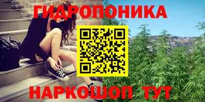 гашик Бузулук