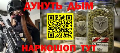 мдпв Будённовск