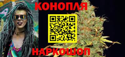 гашик Бузулук
