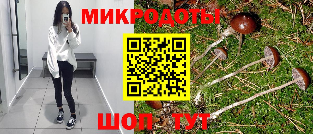 продажа наркотиков  Галлюциногенные грибы прущие грибы  Вход с VPN  Королёв  Псилоцибиновые грибы GOLDEN TEACHER 